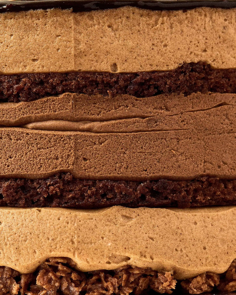 Cross-section of a layered chocolate cake with dark sponge, chocolate mousse, and a crunchy texture layer.